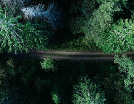 Top 5 Camping Tips for Your Next Outdoor Adventure